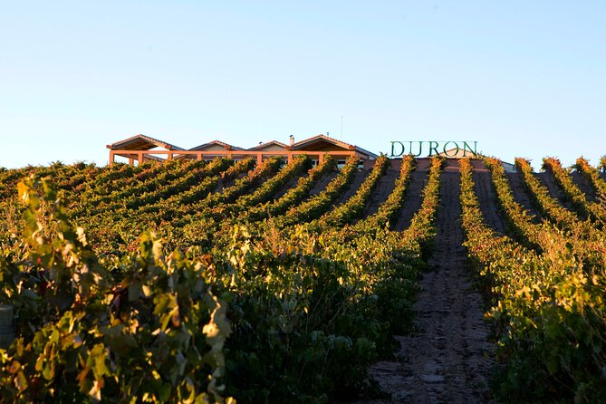Bodega Severino Diaz