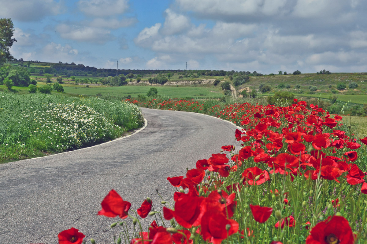 02-Cervera-paisaje