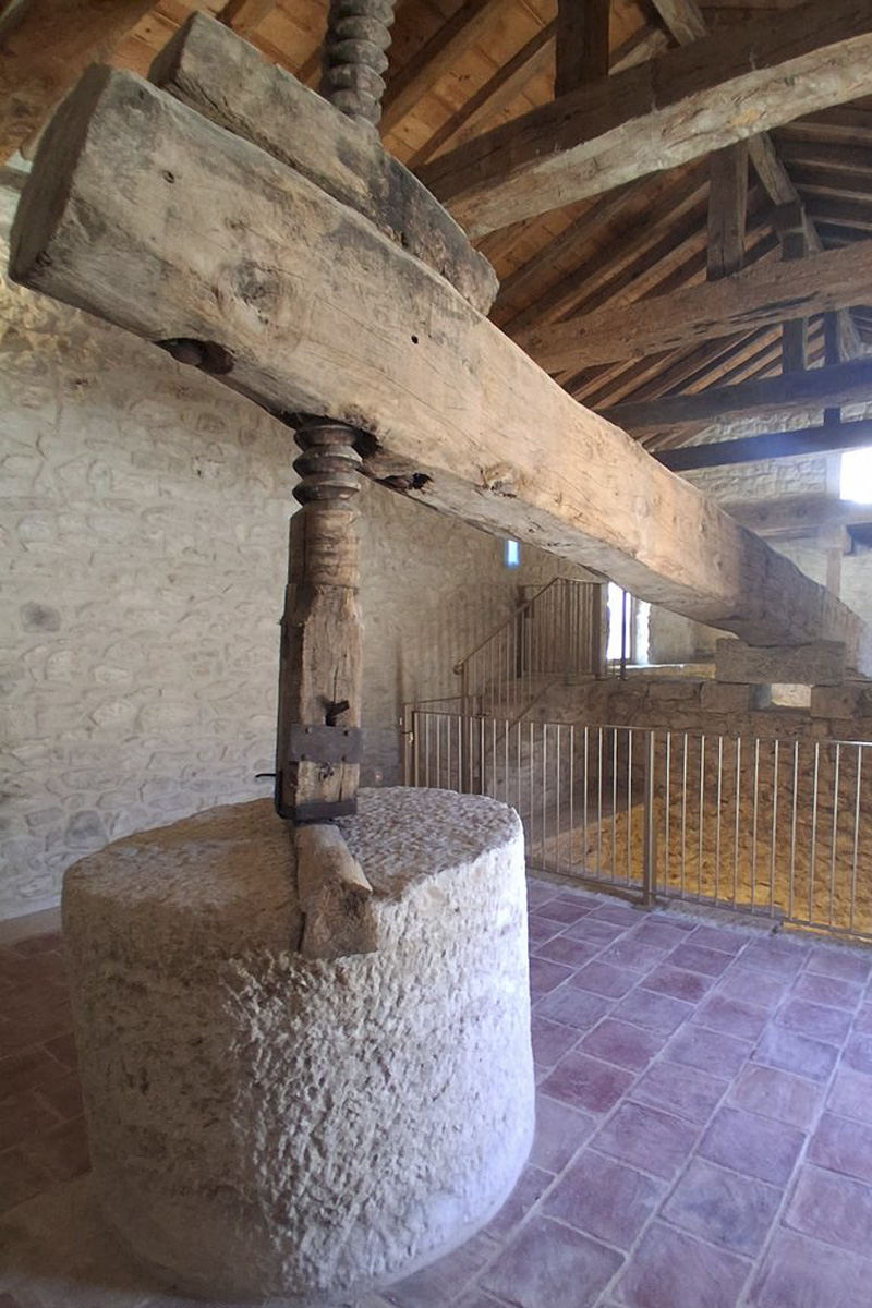 03-Campaspero-01-museo piedra