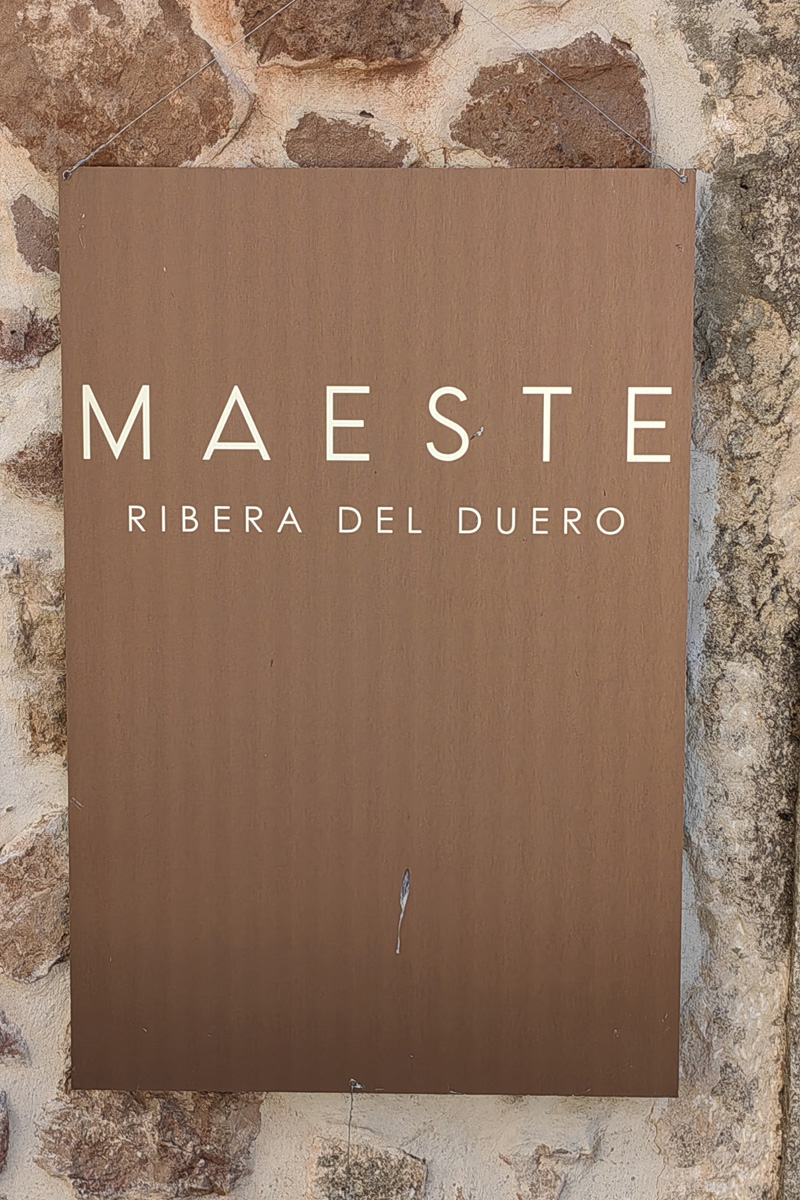 honrubia de la cuesta (3)