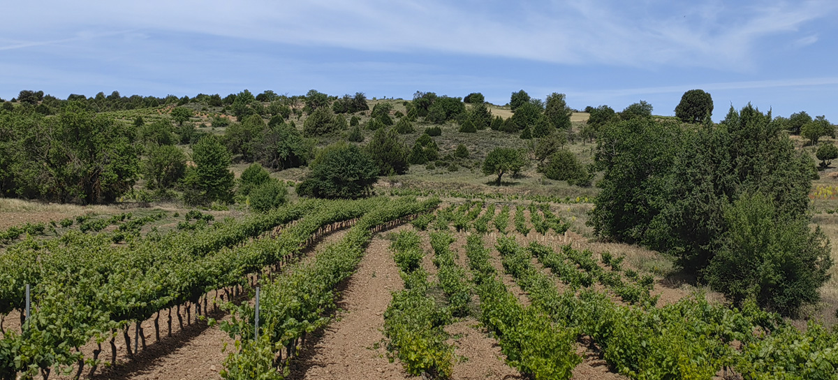 montejo de la vega de la serrezuela (6)