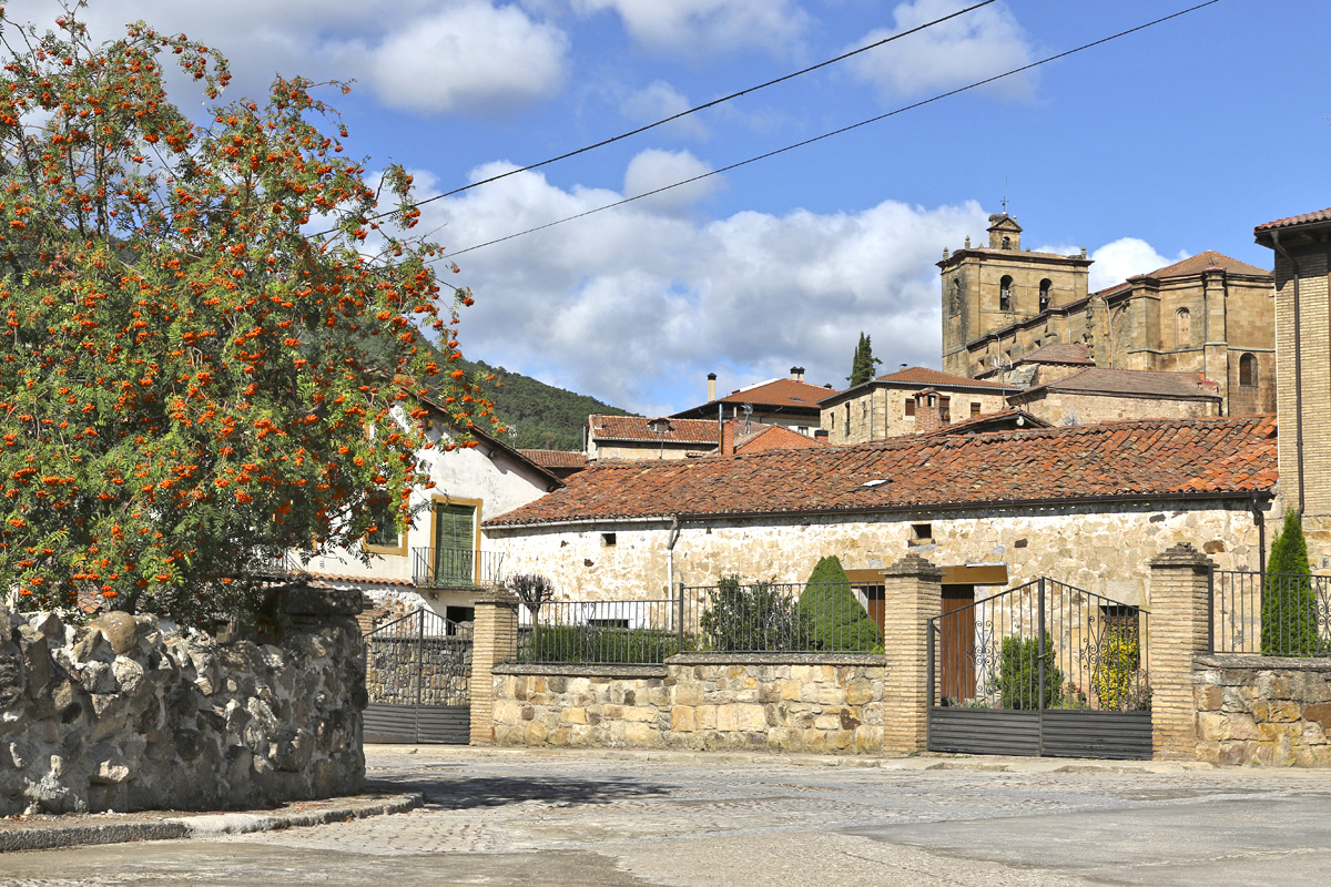01-Vinuesa-02