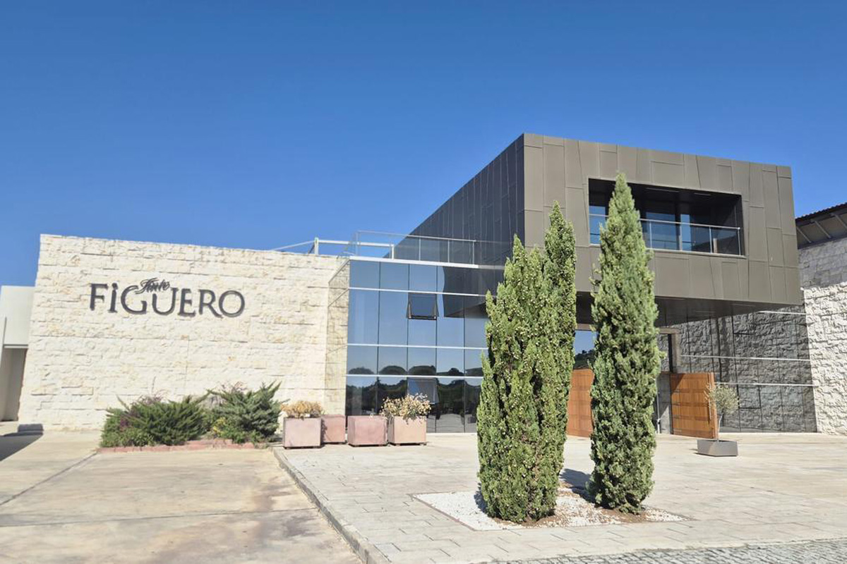 Bodega Figuero-01