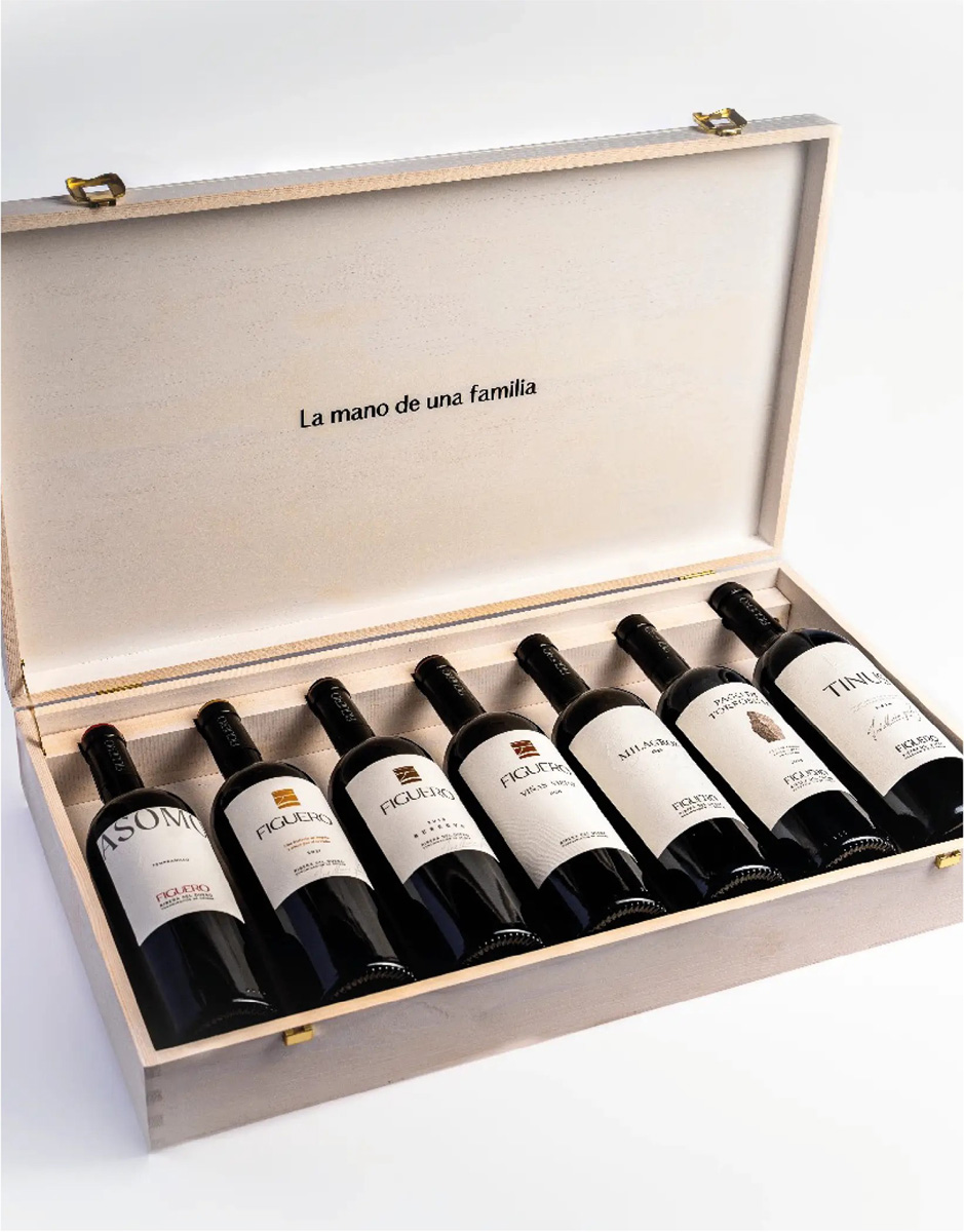 Bodega Figuero-02