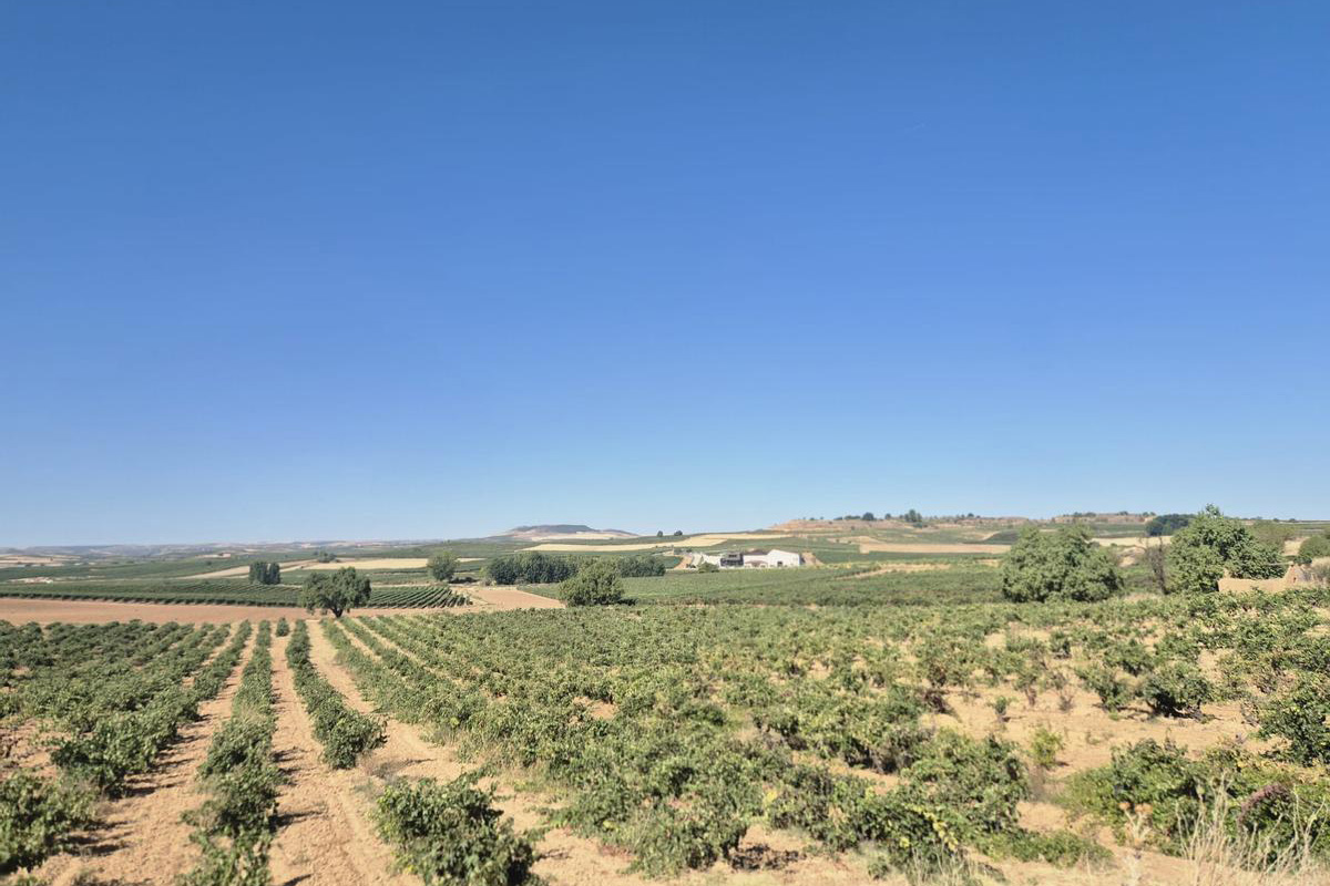 Bodega Figuero-05